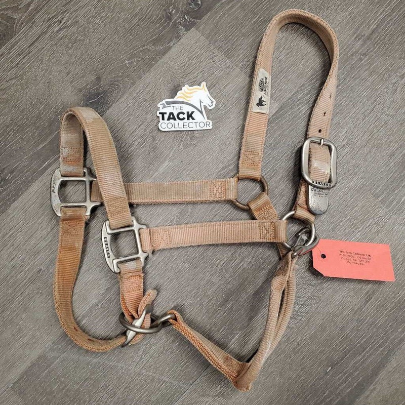 Adjustable Thick Nylon Halter *gc, dirt, stained, hair, stiff, sm chin cut, scuffed plaiting 800-1100lbs Red Used