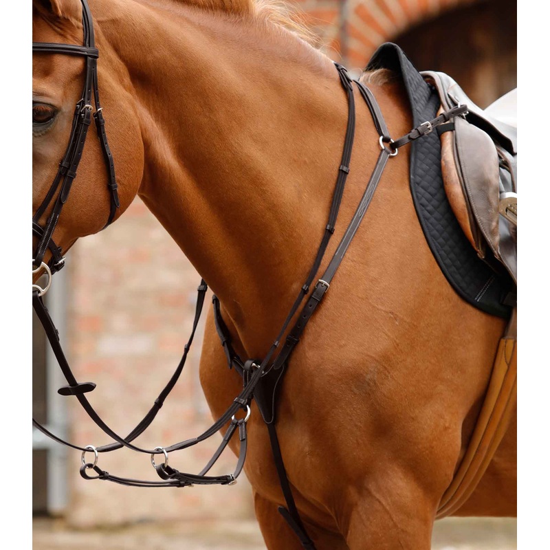 Norbello Hunter Breastplate Brown