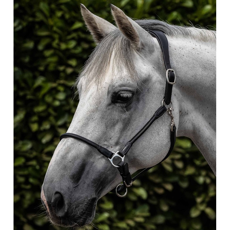 Hennaroso Rolled Anatomic Leather Head Collar Black