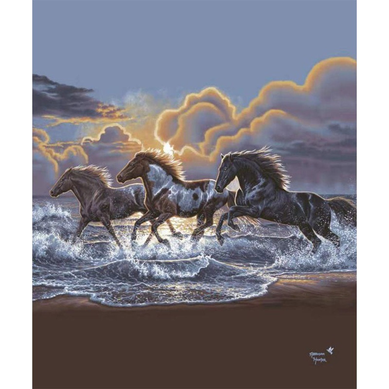 ‘Against the Wind’ Silk Touch Sherpa Lined Throw Blanket – 50 x 60