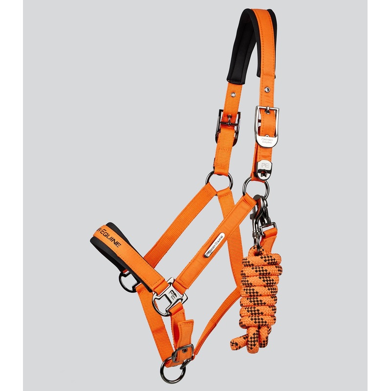 Duco Padded Head Collar with Lead Rope Orange