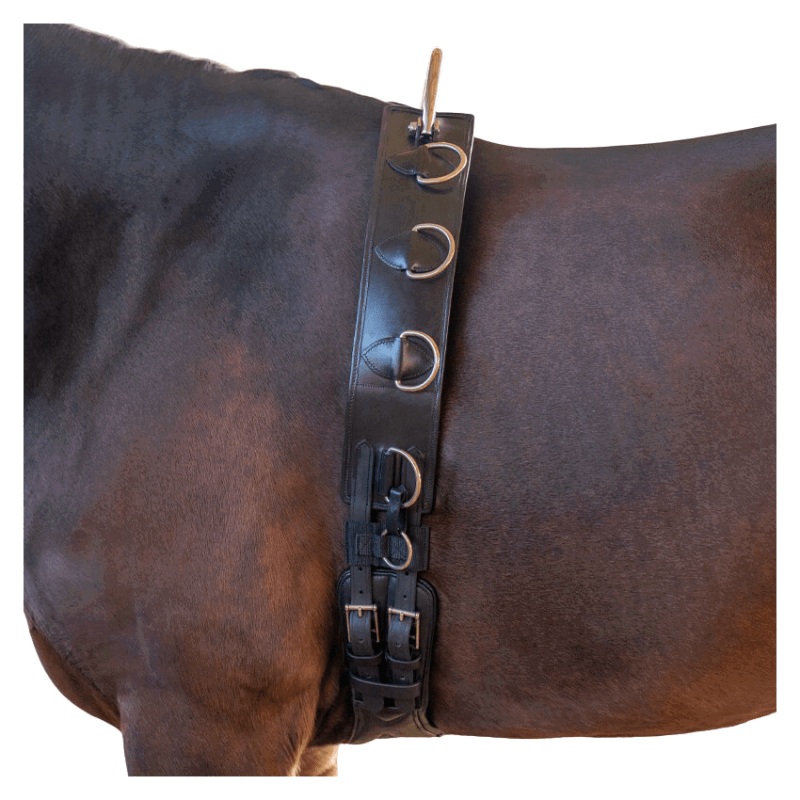 Kavalkade Lunging Girth, Buckle Lunging Girth, Leather